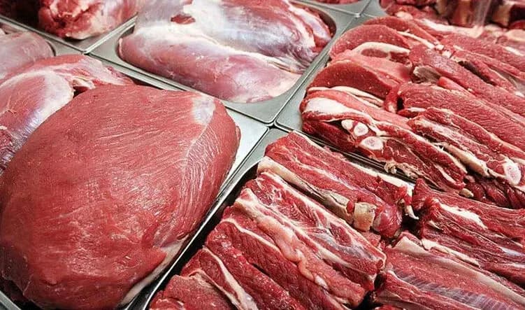 ماجرای مجوز عرضه گوشت الاغ و اسب چیست؟ توضیح رئیس شورای تأمین دام + جزئیات