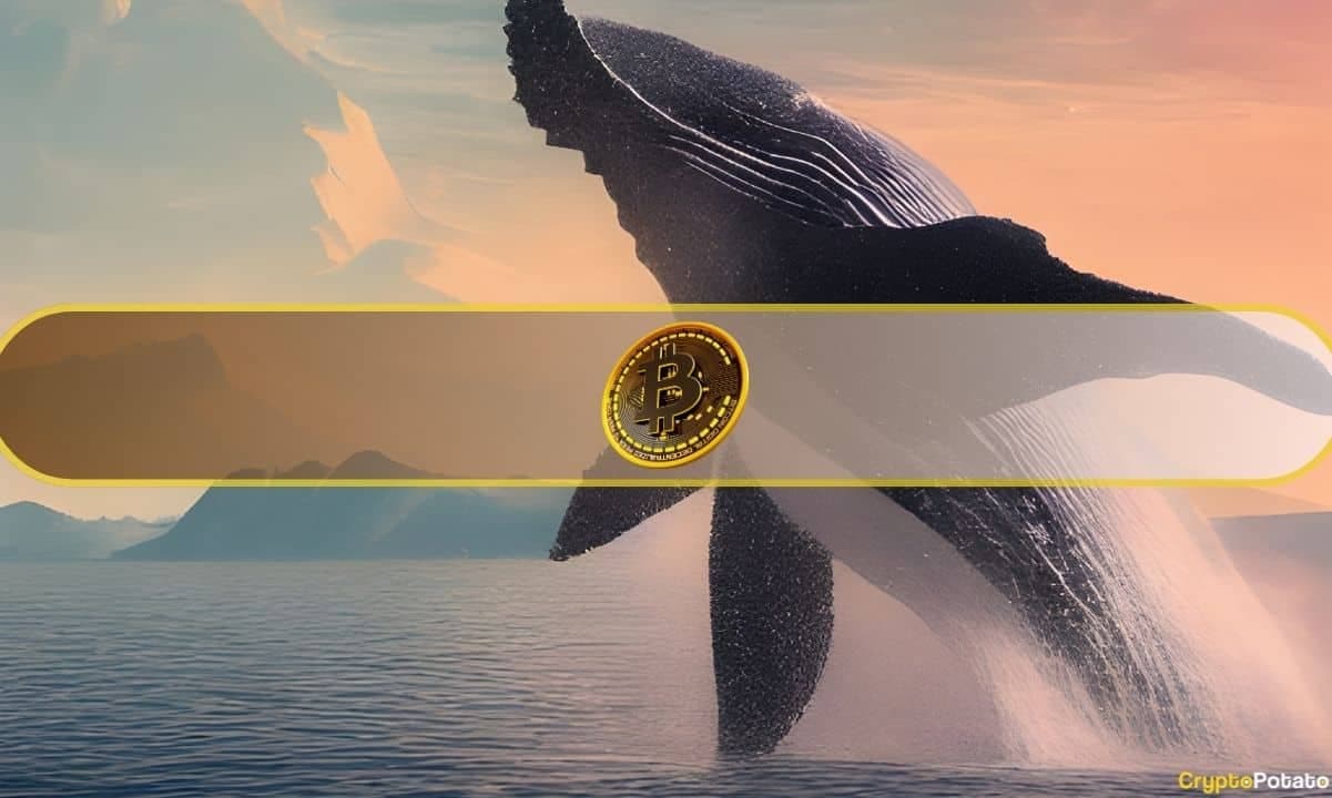 یک نهنگ خفته 380 میلیون دلار بیت کوین را منتقل کرد