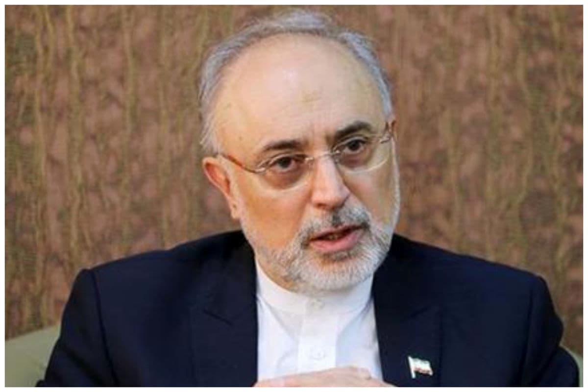 علیاکبر صالحی: پرچم به یک ملت تعلق دارد، نه صرفاً به دولت حاکم/ بیحرمتی به پرچم کشوری که آن را به رسمیت میشناسیم، خردمندانه نیست