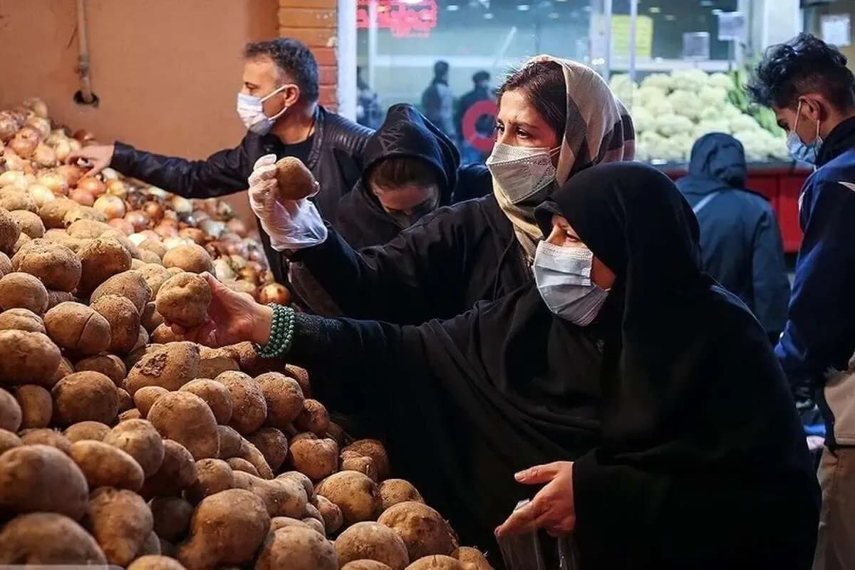 وعده ارزانی سیبزمینی روی هوا ماند / گرانی تا کجا ادامه دارد؟
